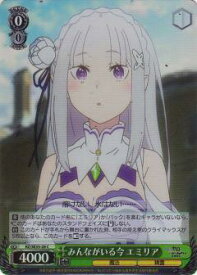 card566946-series439127-rarity557243