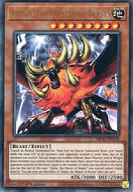 card566863-series377251-rarity540536