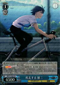 card568937-series441193-rarity557104