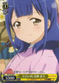 card573018-series445260-rarity557243