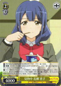 card573021-series445260-rarity557243