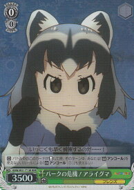 card576939-series449484-rarity557086