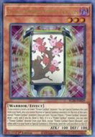 card577158-series377941-rarity540536