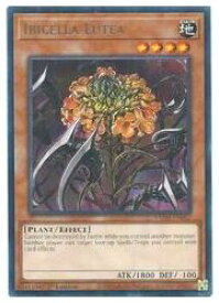 card591249-series377487-rarity540551