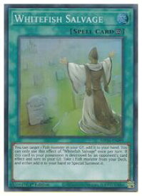 card598935-series444761-rarity540535