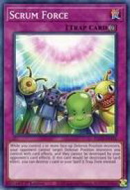 card603337-series377948-rarity540534