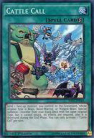 card604064-series481805-rarity540535