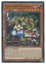 card605305-series373170-rarity540548