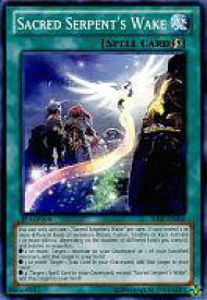 card605580-series486018-rarity540534