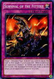 card605588-series486018-rarity540534