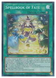 card606166-series378427-rarity540535