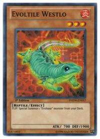 card606651-series488937-rarity540535