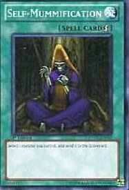 card606990-series373152-rarity540534