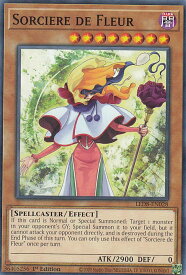 card607015-series378607-rarity540534