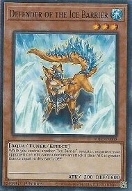 card607161-series432730-rarity540534