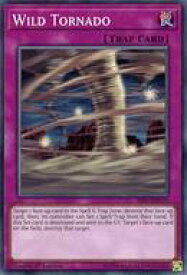 card607515-series483456-rarity540534