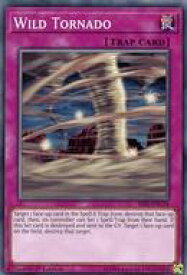 card607515-series483491-rarity540534