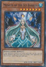 card607550-series432730-rarity540534