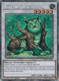 card607557-series375148-rarity540539