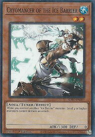 card607934-series432730-rarity540534