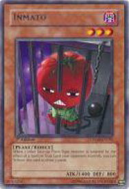 card608241-series377899-rarity540551
