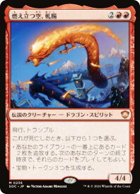 card293117-series6575274-rarity323477