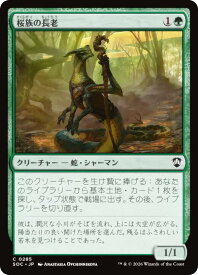 card307558-series6575274-rarity323480