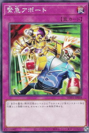card491-series932-rarity1