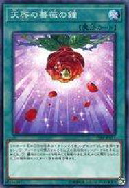 card4163-series9426-rarity1