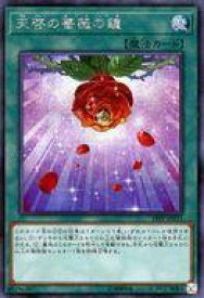 card4163-series9426-rarity5