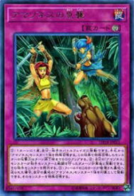 card5178-series11881-rarity62