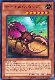 card9170-series20765-rarity1