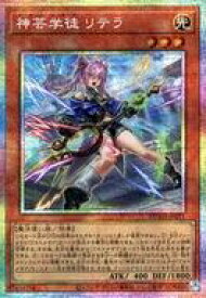 card142-series208-rarity8