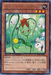 card10015-series19333-rarity62