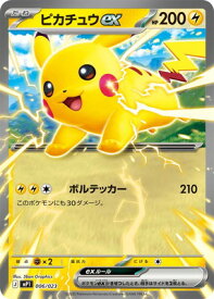 card45444-series2540139-rarity95225