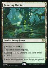 card323078-series2589292-rarity323476