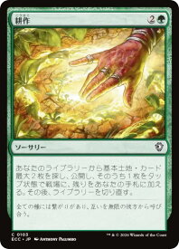 card314431-series2589292-rarity323480