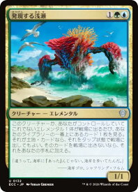 card314862-series2589292-rarity323478