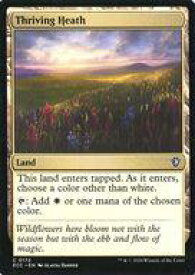 card326864-series2589292-rarity323480