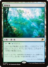 card287214-series165193-rarity323476