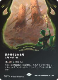 card287221-series165193-rarity323476