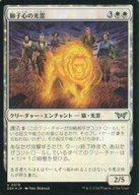 card_288313_