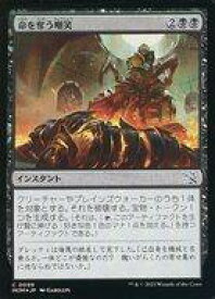 card291034-series169165-rarity323480