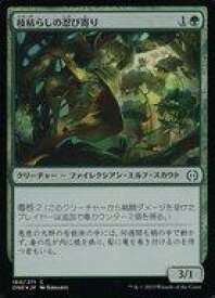card291477-series169547-rarity323480