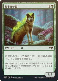 card_293702_