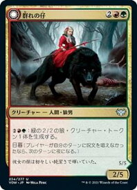 card293713-series171709-rarity323478