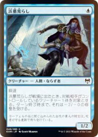 card295087-series173268-rarity323480