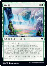 card295209-series173268-rarity323480