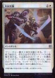 card295438-series173667-rarity323478