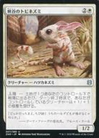 card295444-series173667-rarity323478